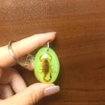 جاکلیدی حشرات طبیعی