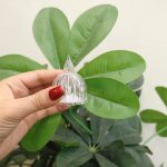 پک 24 عددی شمع ال ای دی مدل کریستالی شفاف طرح SUN