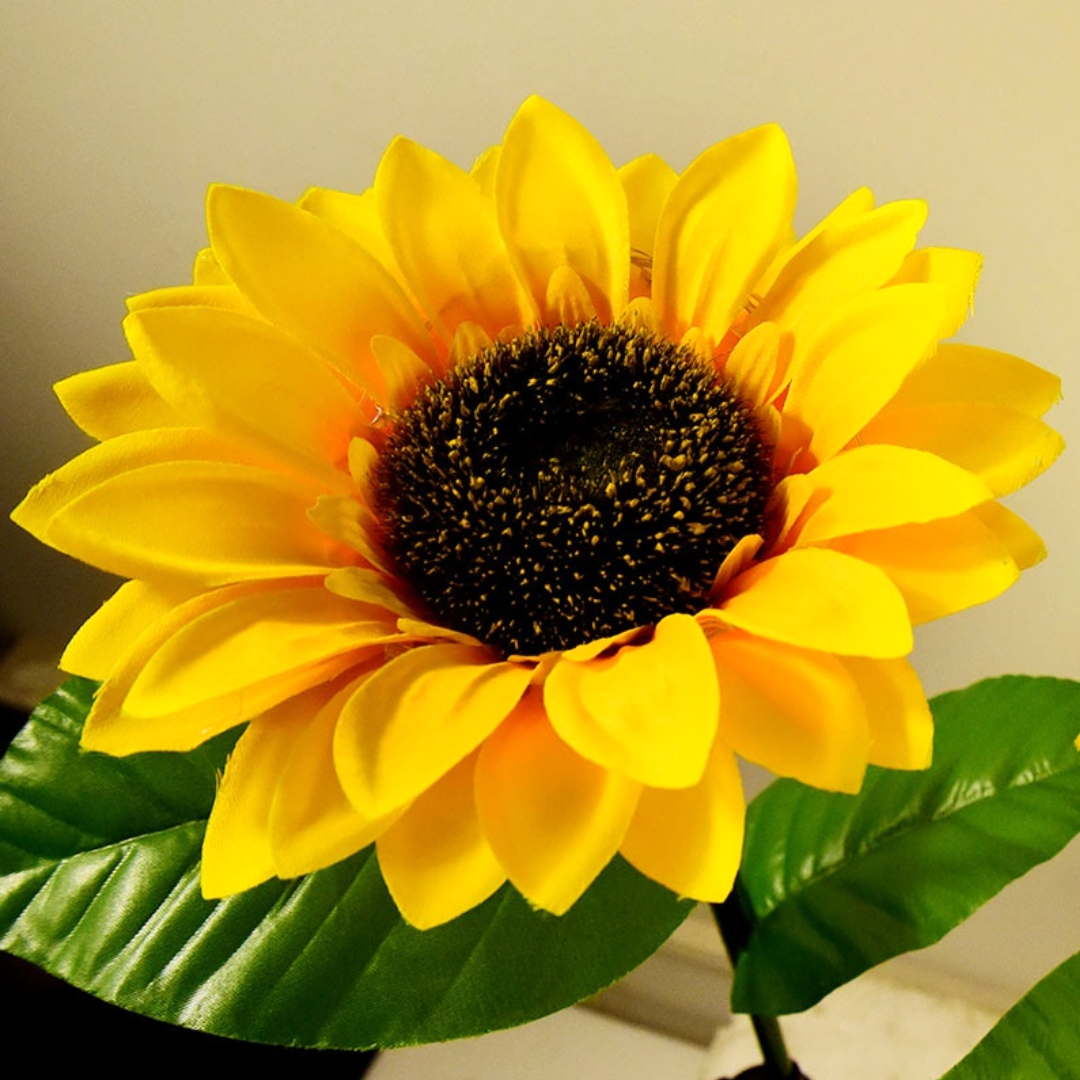 چراغ باغی خورشیدی سولونیکس مدل گل آفتابگردان چراغ باغی خورشیدی سولونیکس مدل گل آفتابگردان