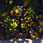 چراغ باغی خورشیدی مدل مخروطی